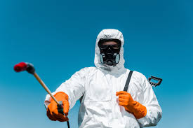 Best Pest Exclusion Services  in Homestead Valley, CA